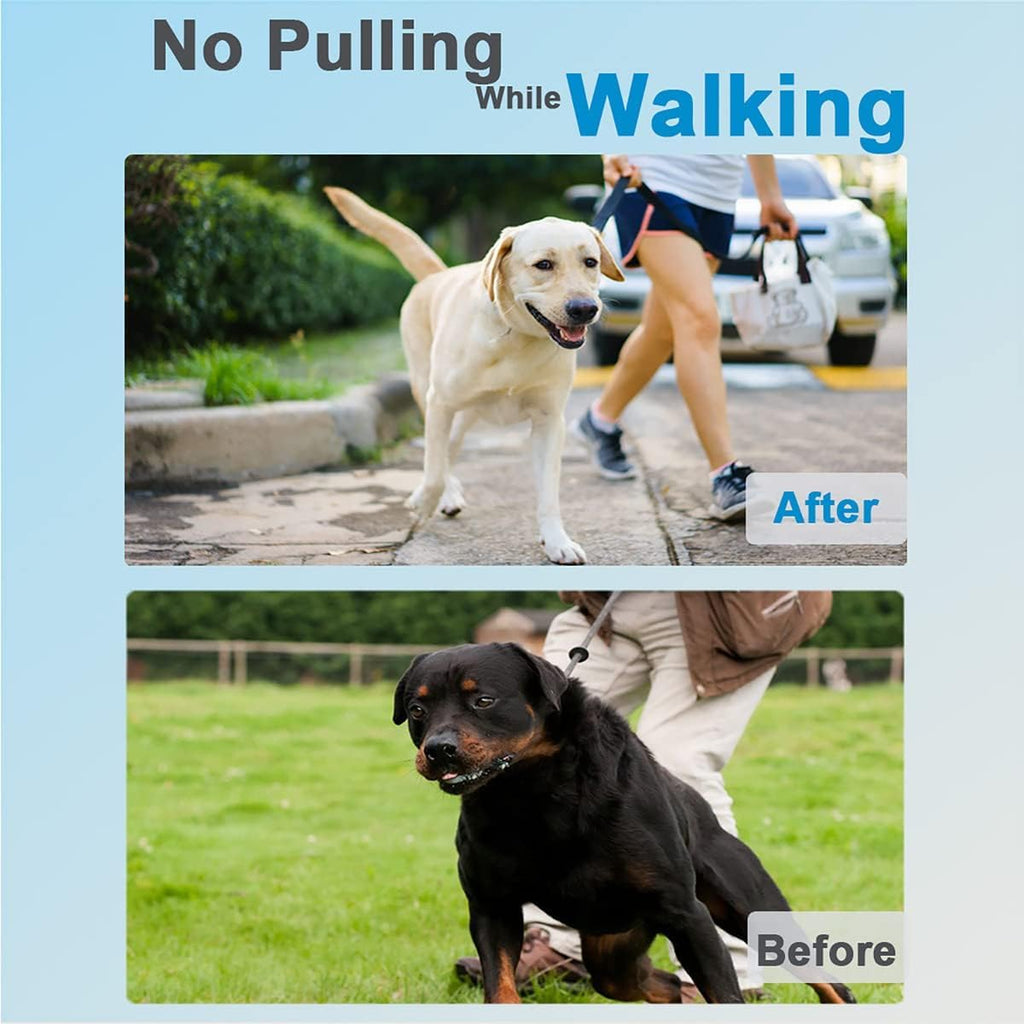 Dog Training Collar O3188