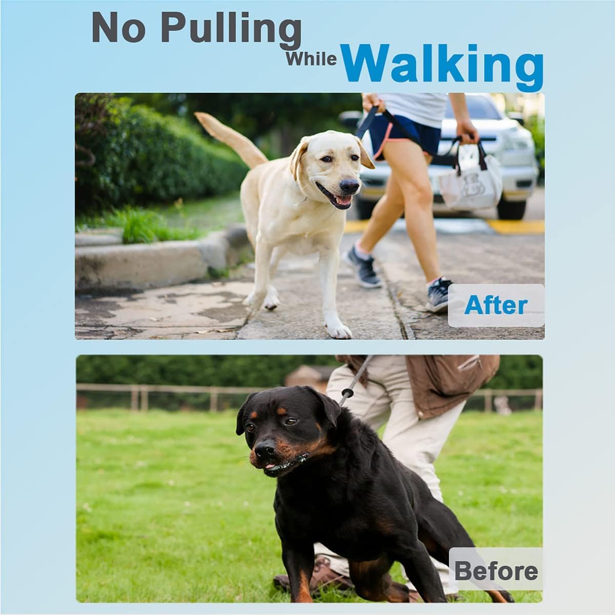 Dog Training Collar O3188