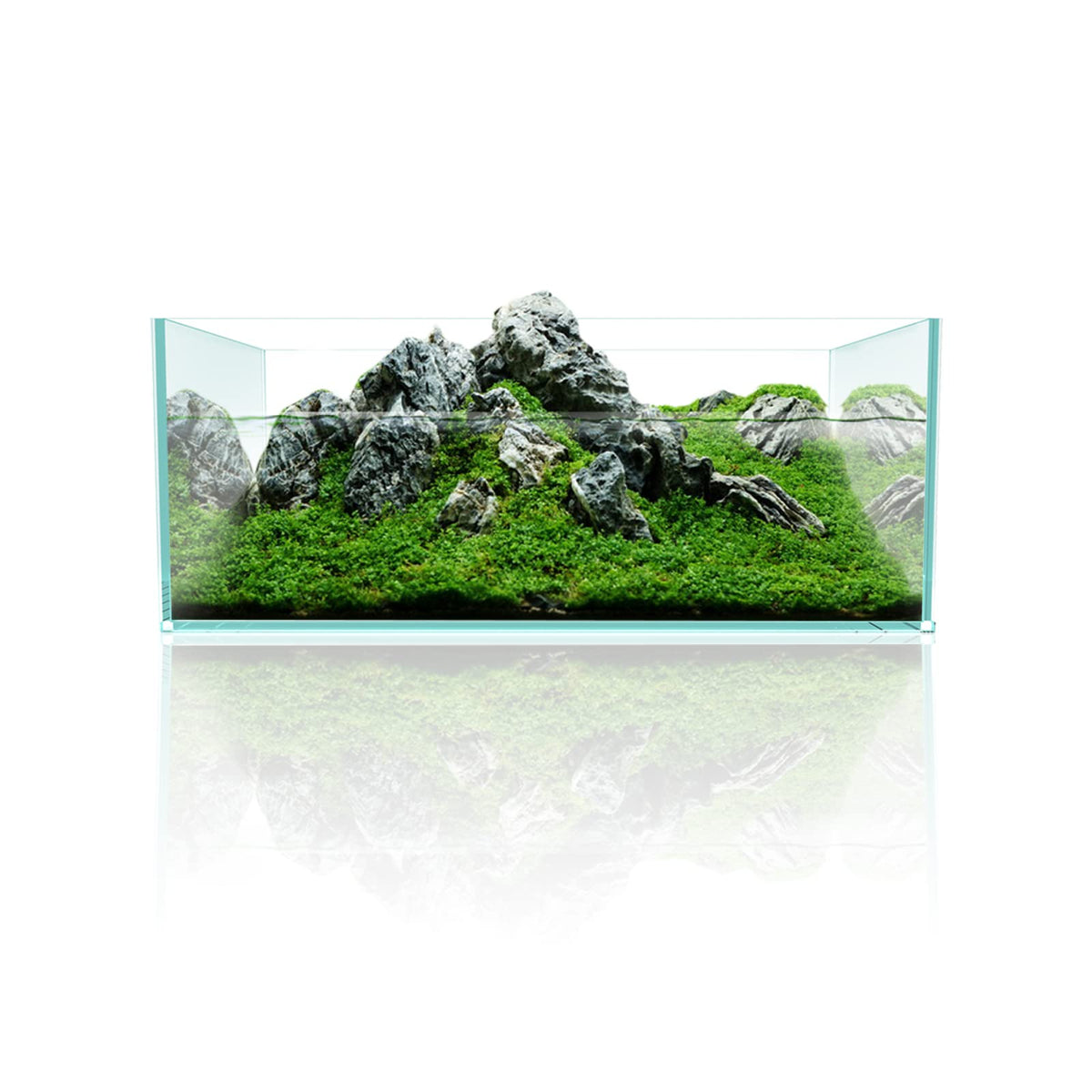6.4Gal Shallow Rimless Aquarium Ultra-White Glass V921
