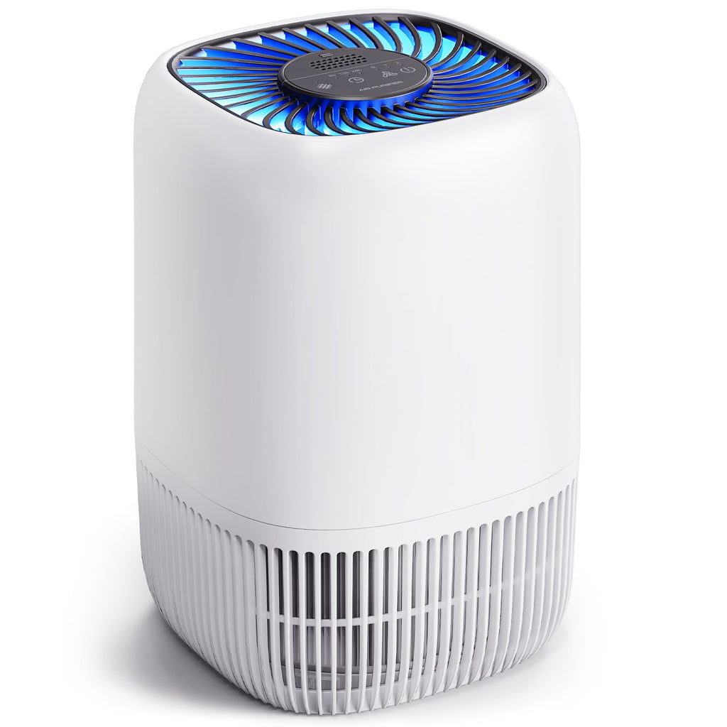 White High Efficiency Filter Air Purifier R4958
