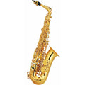 Alto Saxophone Set U3615