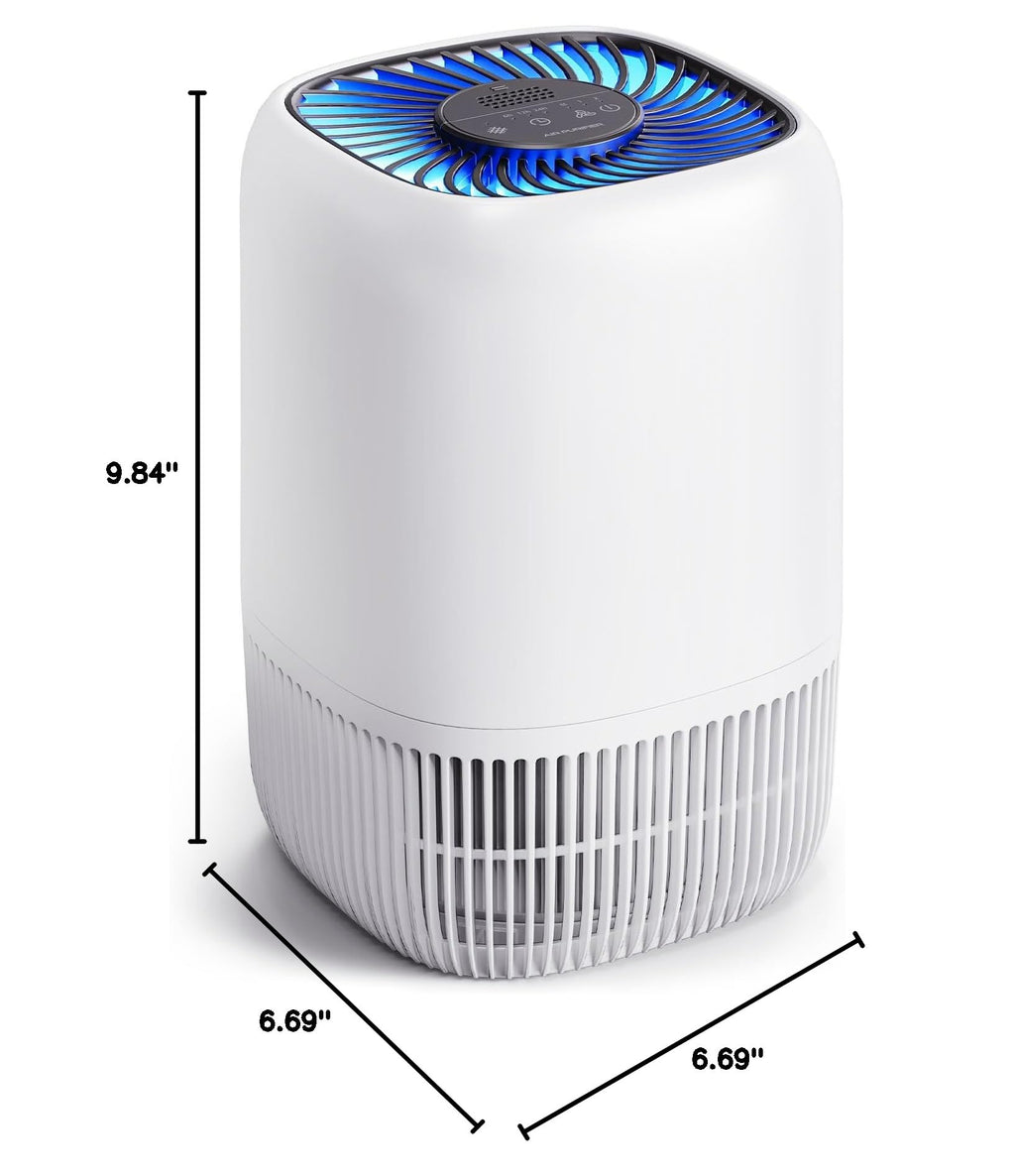 White High Efficiency Filter Air Purifier R4958