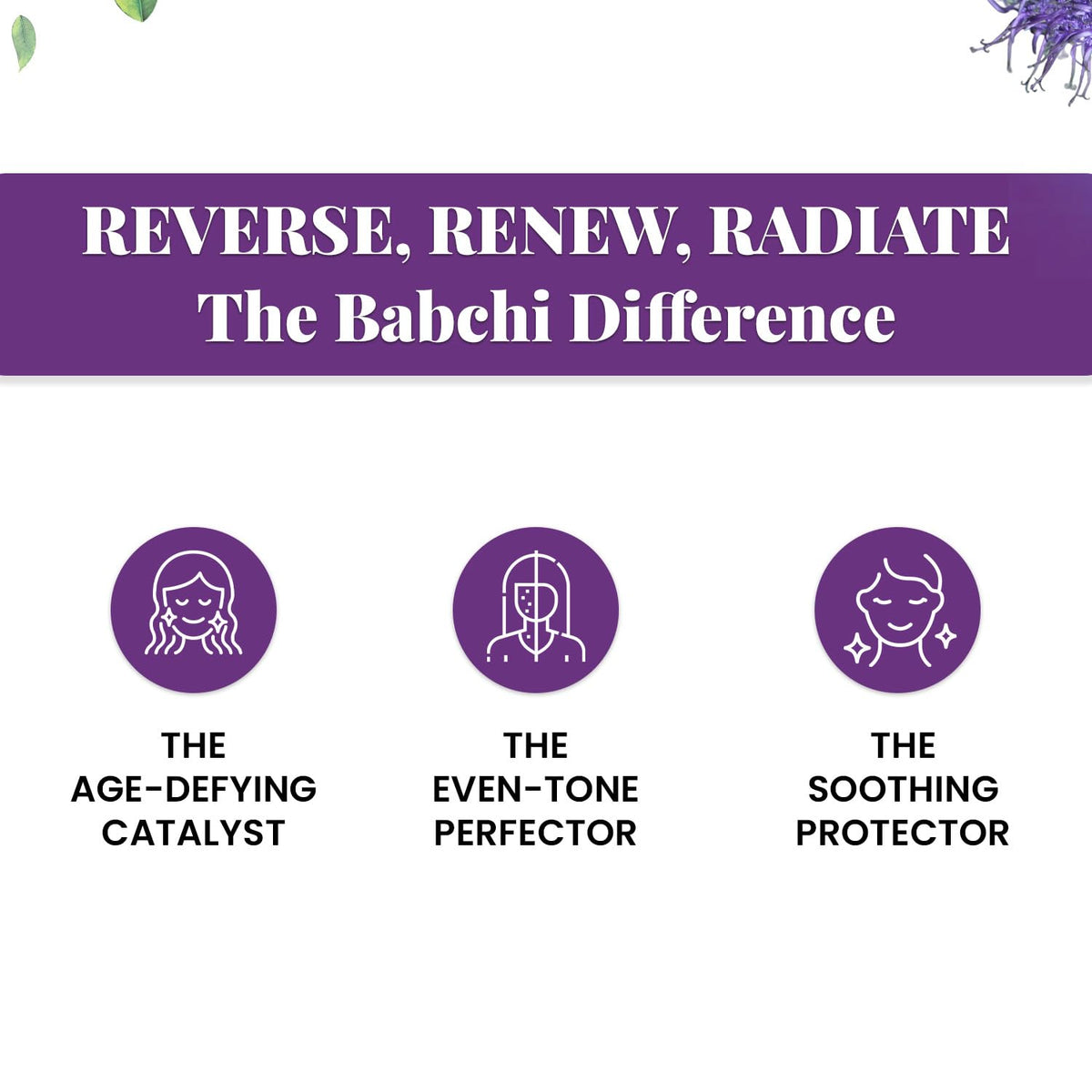 Babchi Oil with Glass Dropper 30ml X78447