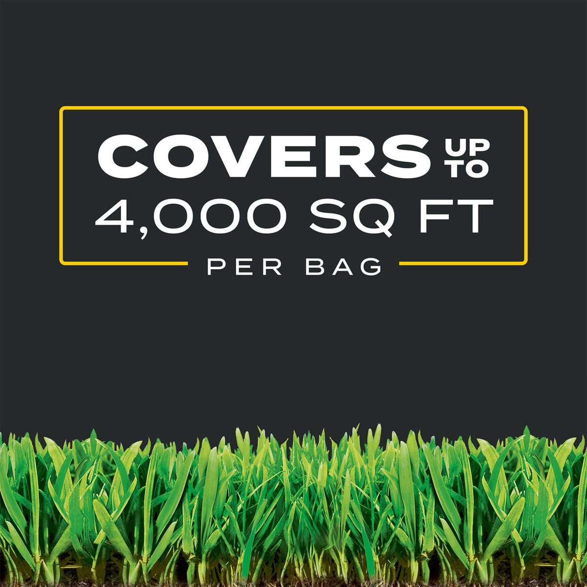 11.31 lb. Turf Builder N640181