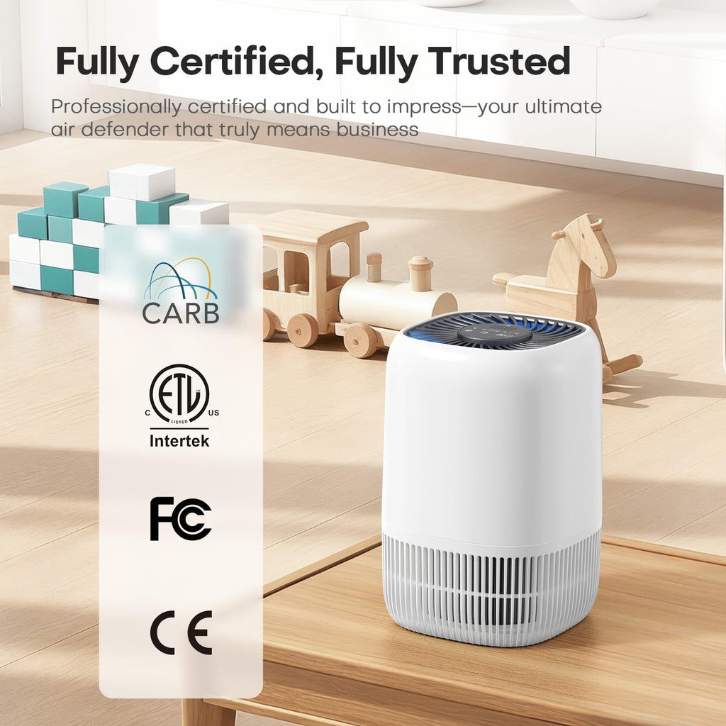 White High Efficiency Filter Air Purifier R4958