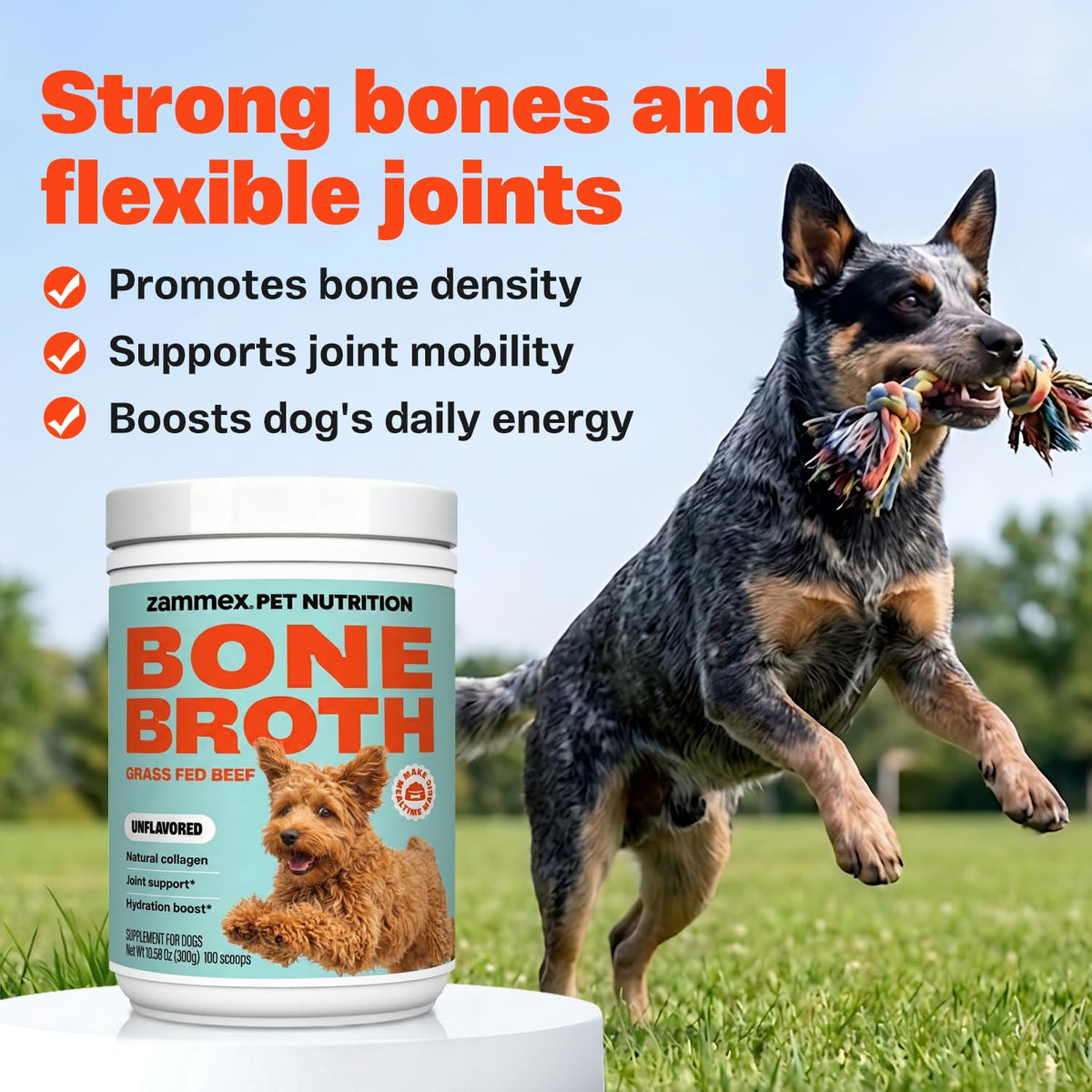Bone Broth for Dogs V472