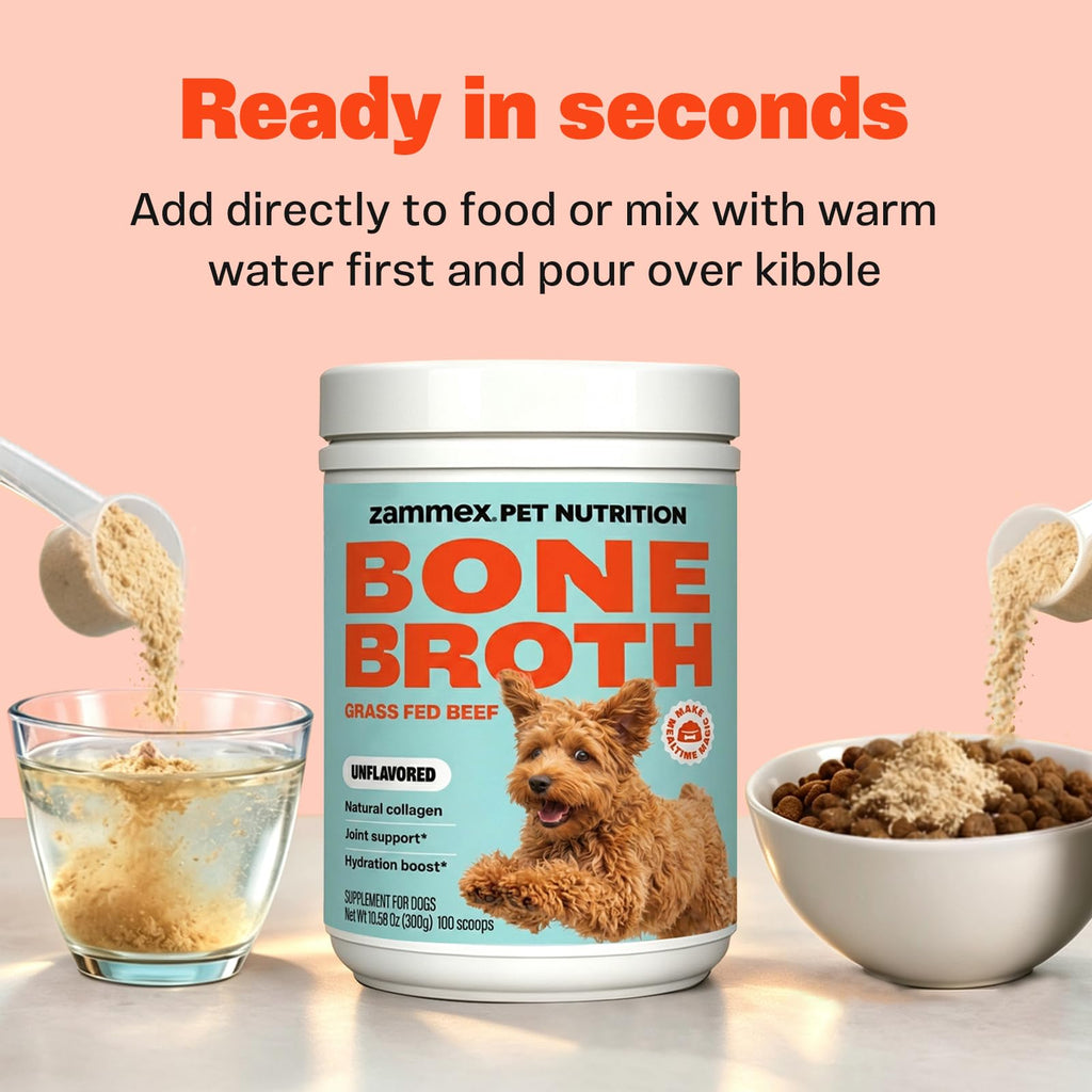Bone Broth for Dogs V472