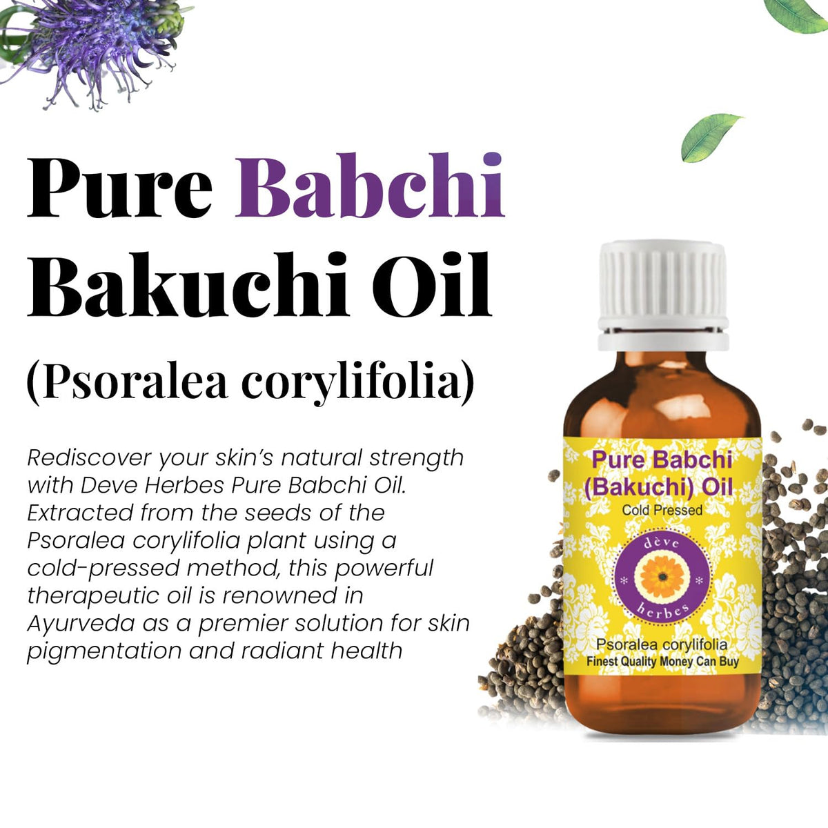 Babchi Oil with Glass Dropper 30ml X78447