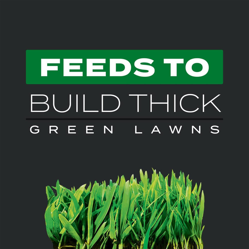11.31 lb. Turf Builder N640181