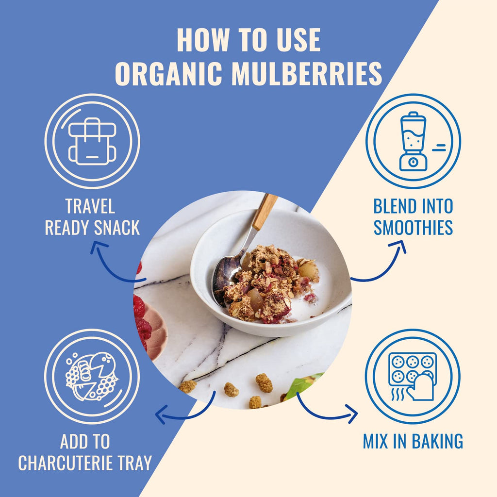 Organic Turkish Dried White Mulberries 3 Bags B250331