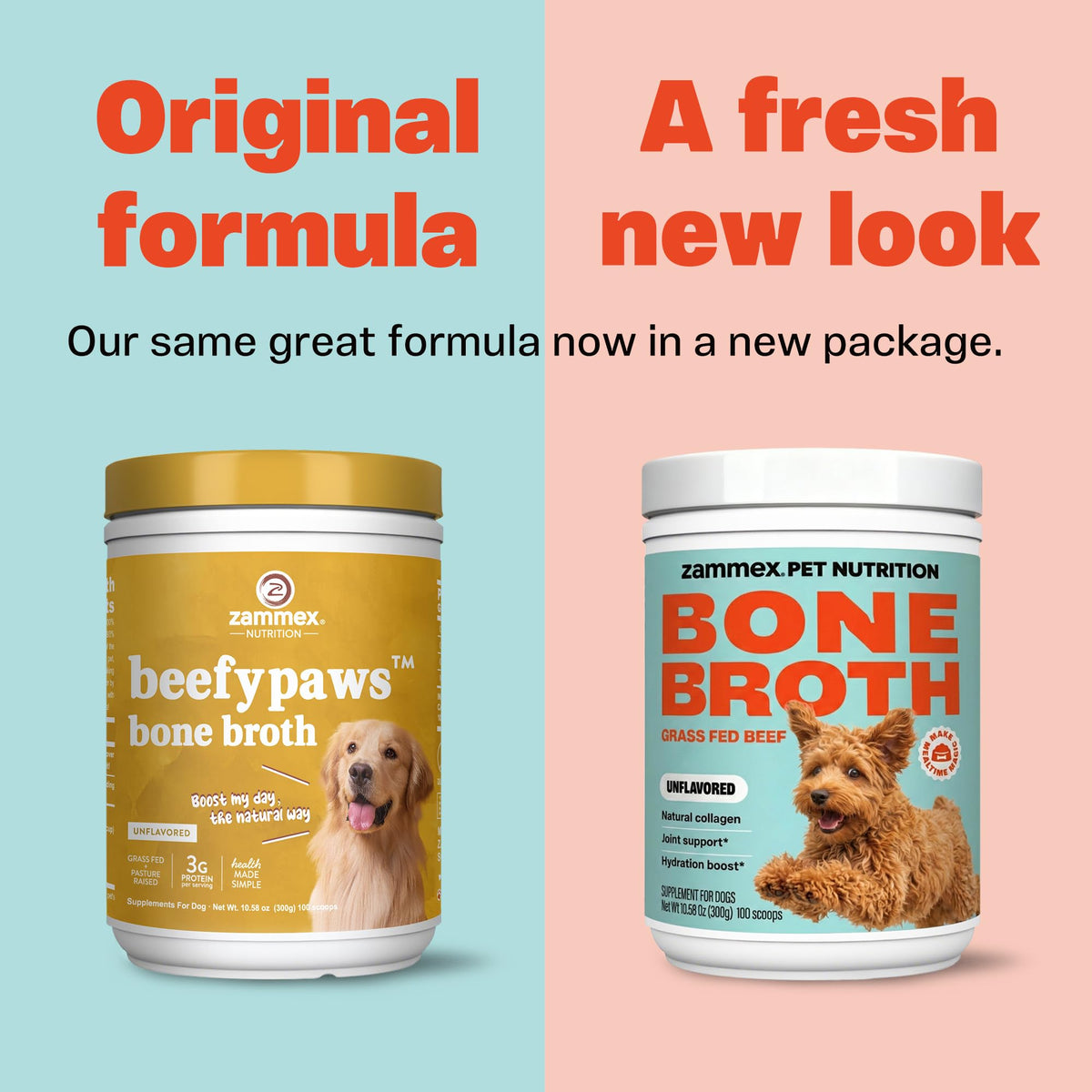Bone Broth for Dogs V472