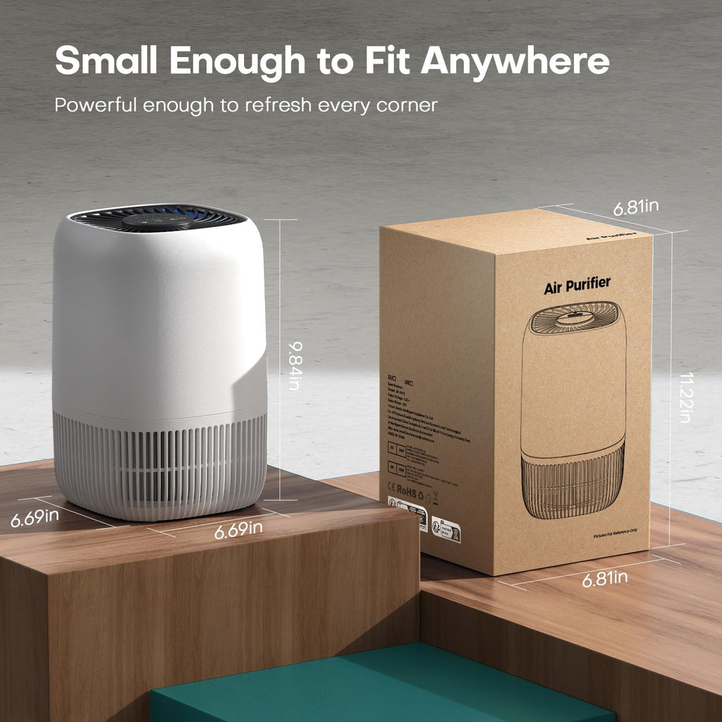 White High Efficiency Filter Air Purifier R4958