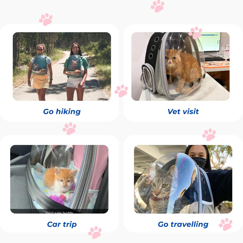Expandable Cat Carrier Backpack I9898