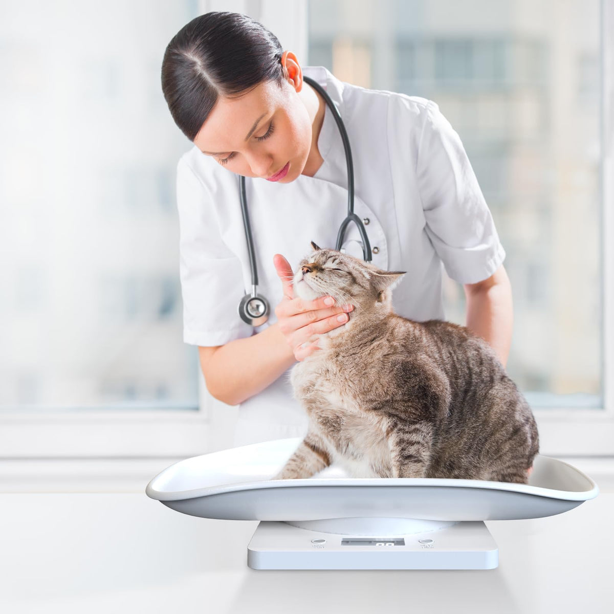 Digital Pet Scale for Small Animal, LED Display, Measures Up to 15kg, White C172662