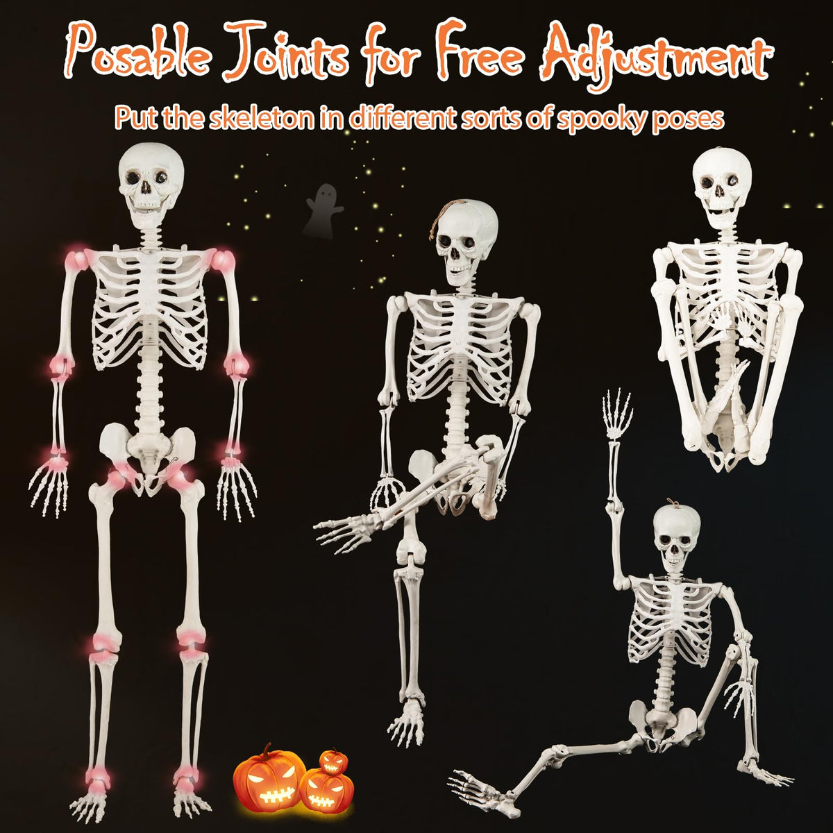 Life Size Posable Skeleton with Movable Joints K76307