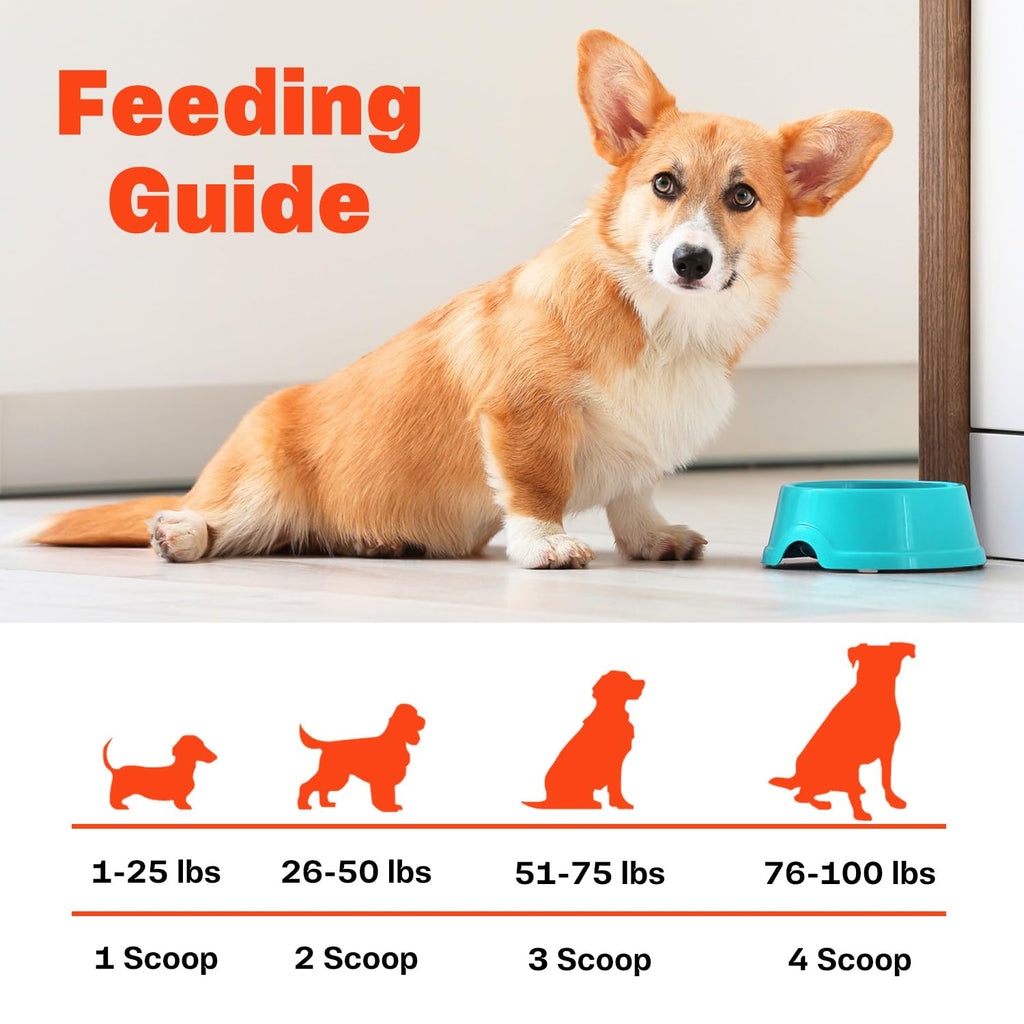 Bone Broth for Dogs V472