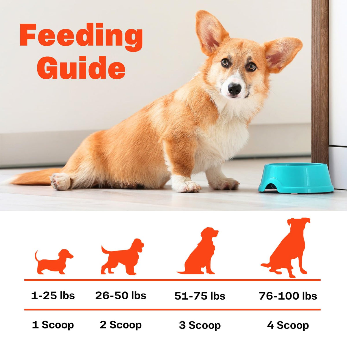 Bone Broth for Dogs V472
