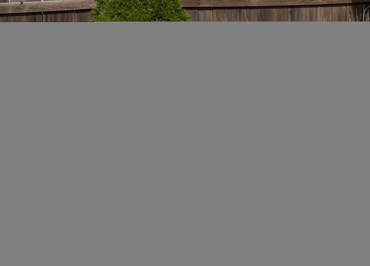 Pressure Treated Outdoor Glider R158555