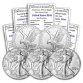1 oz American Silver Eagle Coins B210