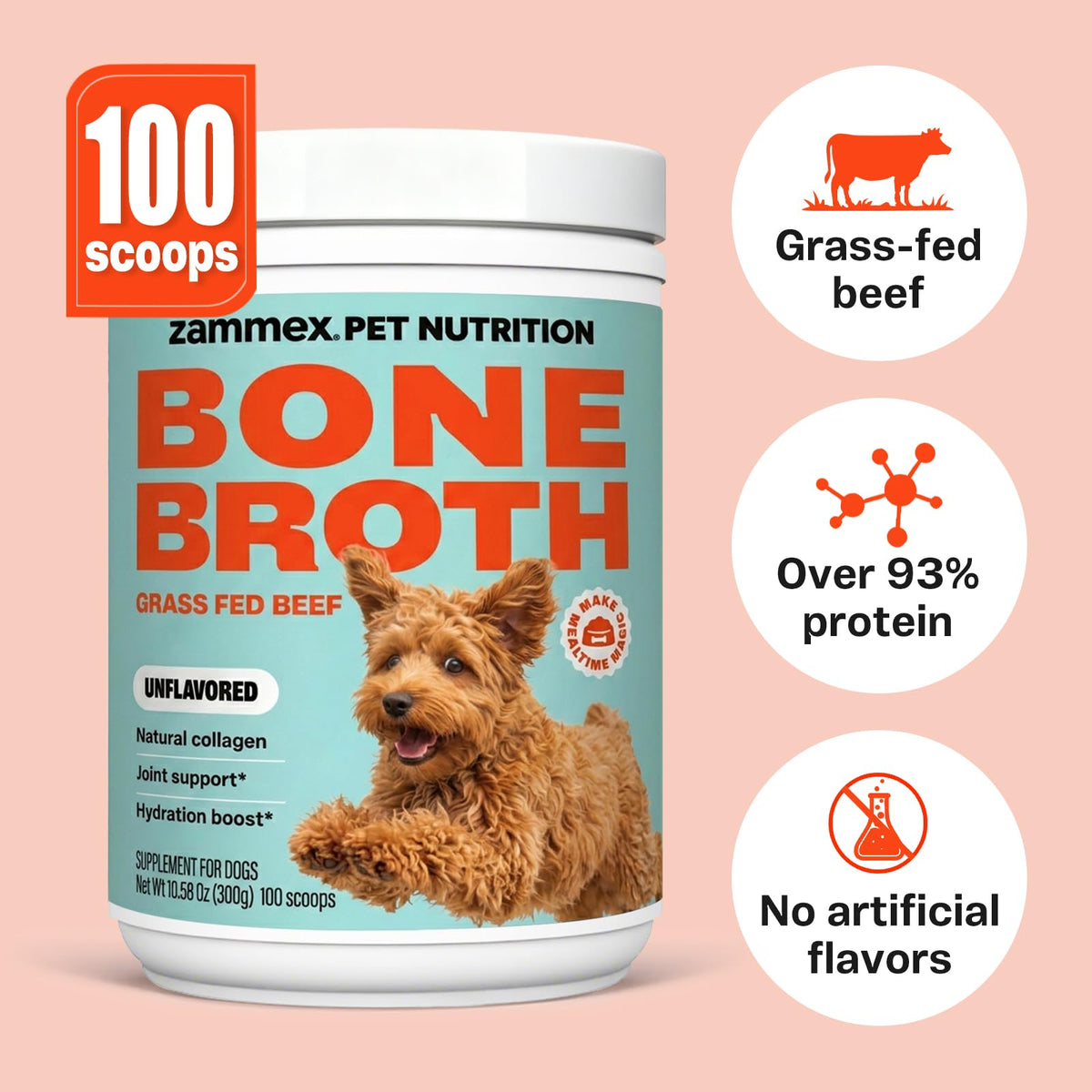 Bone Broth for Dogs V472