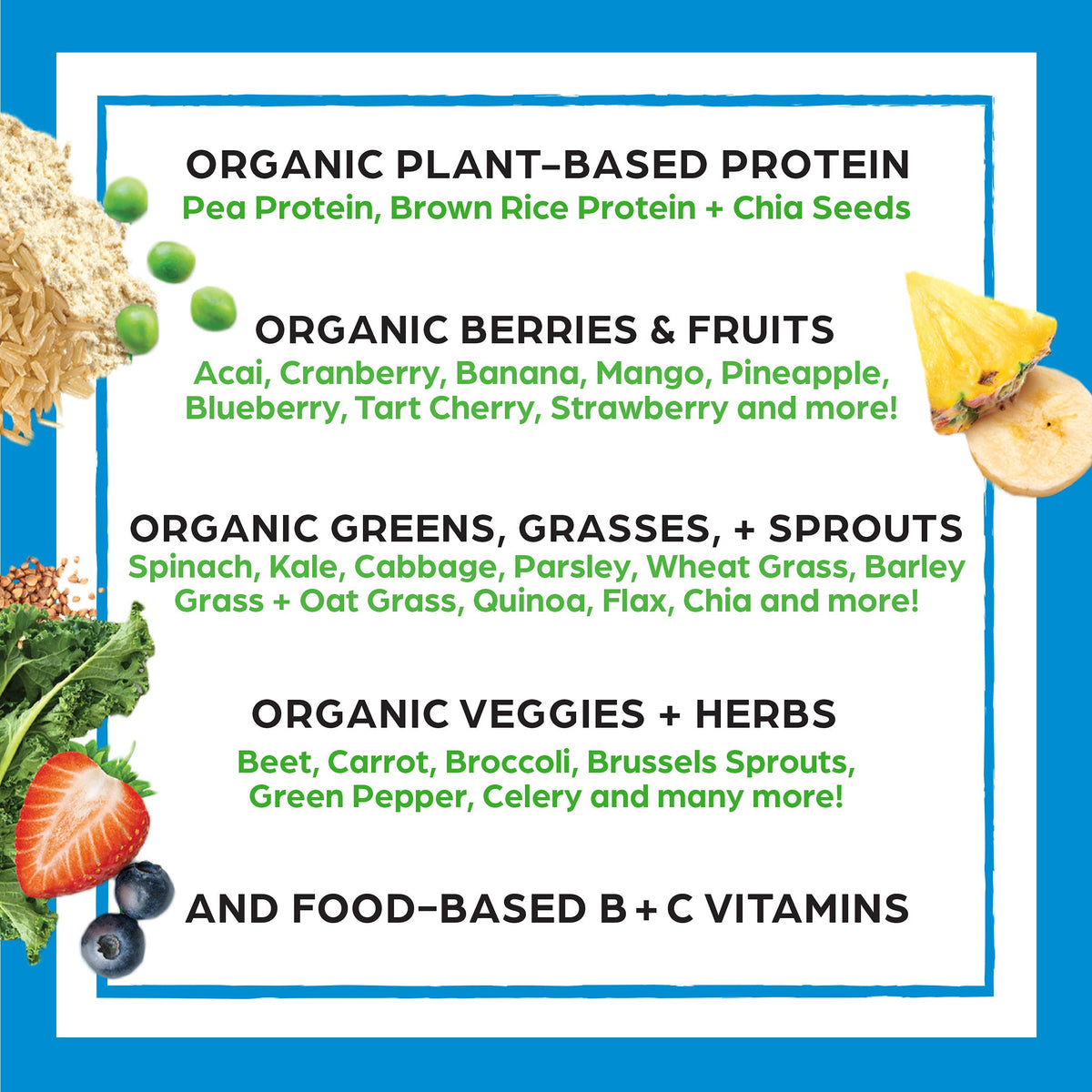 Organic Vegan Protein + Superfoods Powders Vanilla Bean T230