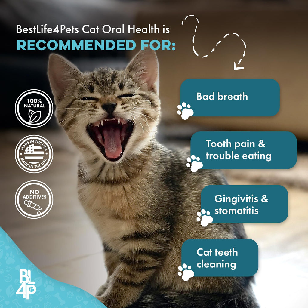 Cat Dental Care Supplement 400 Pills L1101