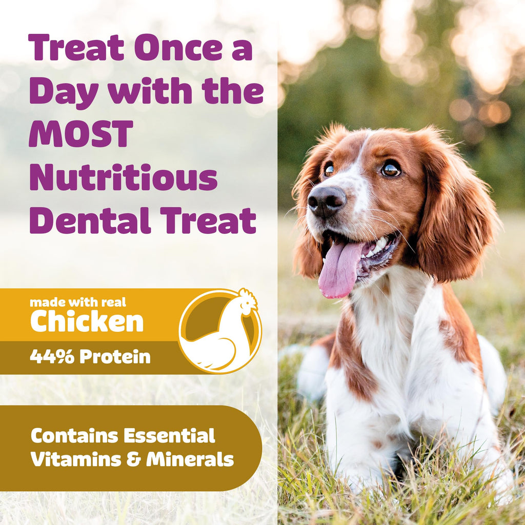 Chicken Dog Dental Treats 24oz & 36 oz V123