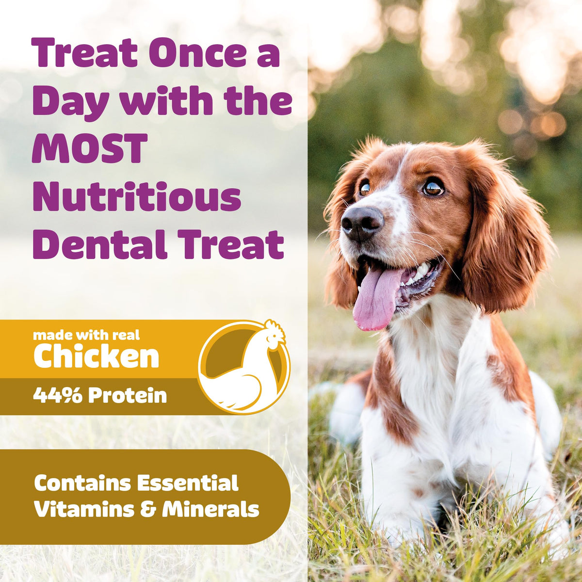 Chicken Dog Dental Treats 24oz & 36 oz V123