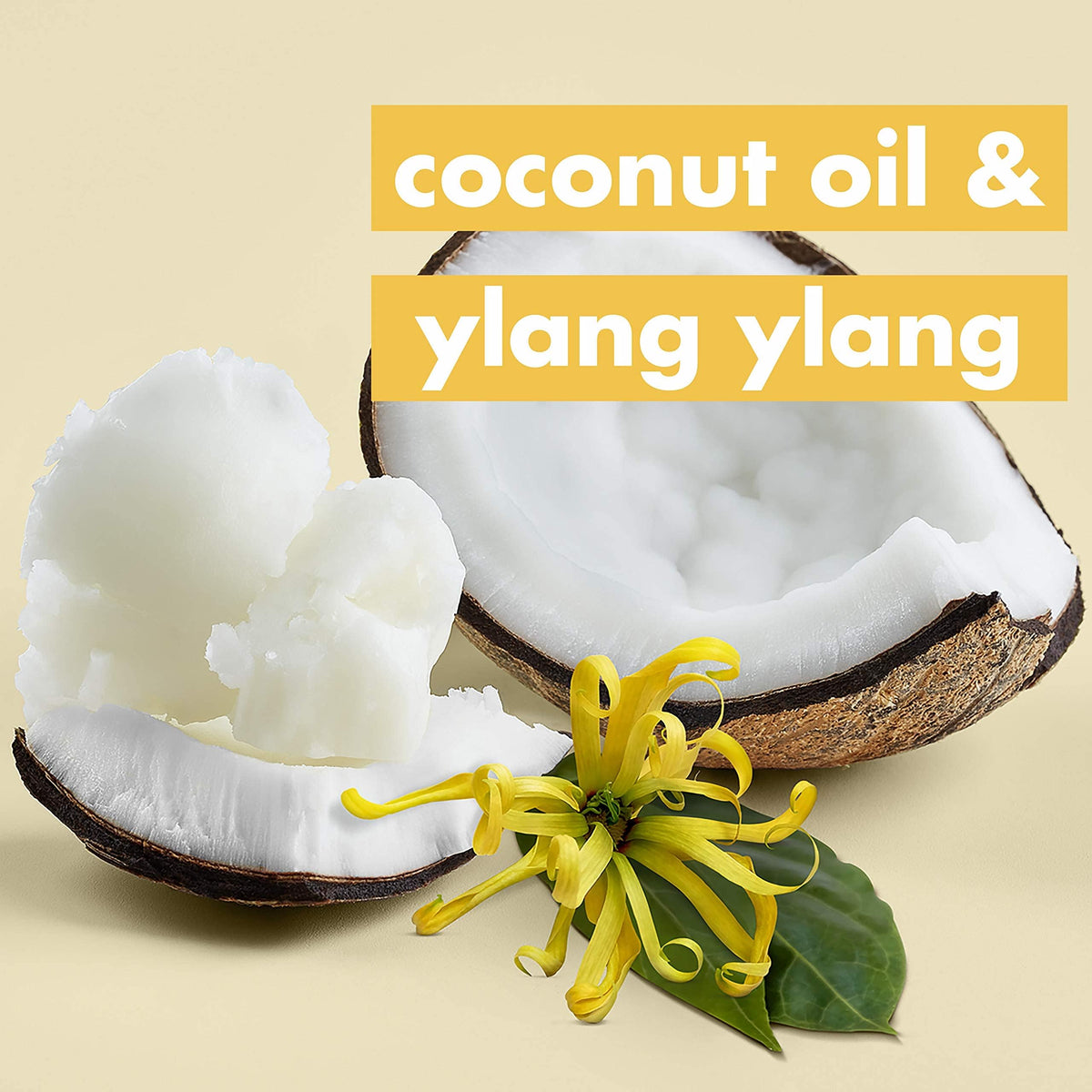 Coconut Oil & Ylang Shampoo and Conditioner 2 Count 13.5 oz R159
