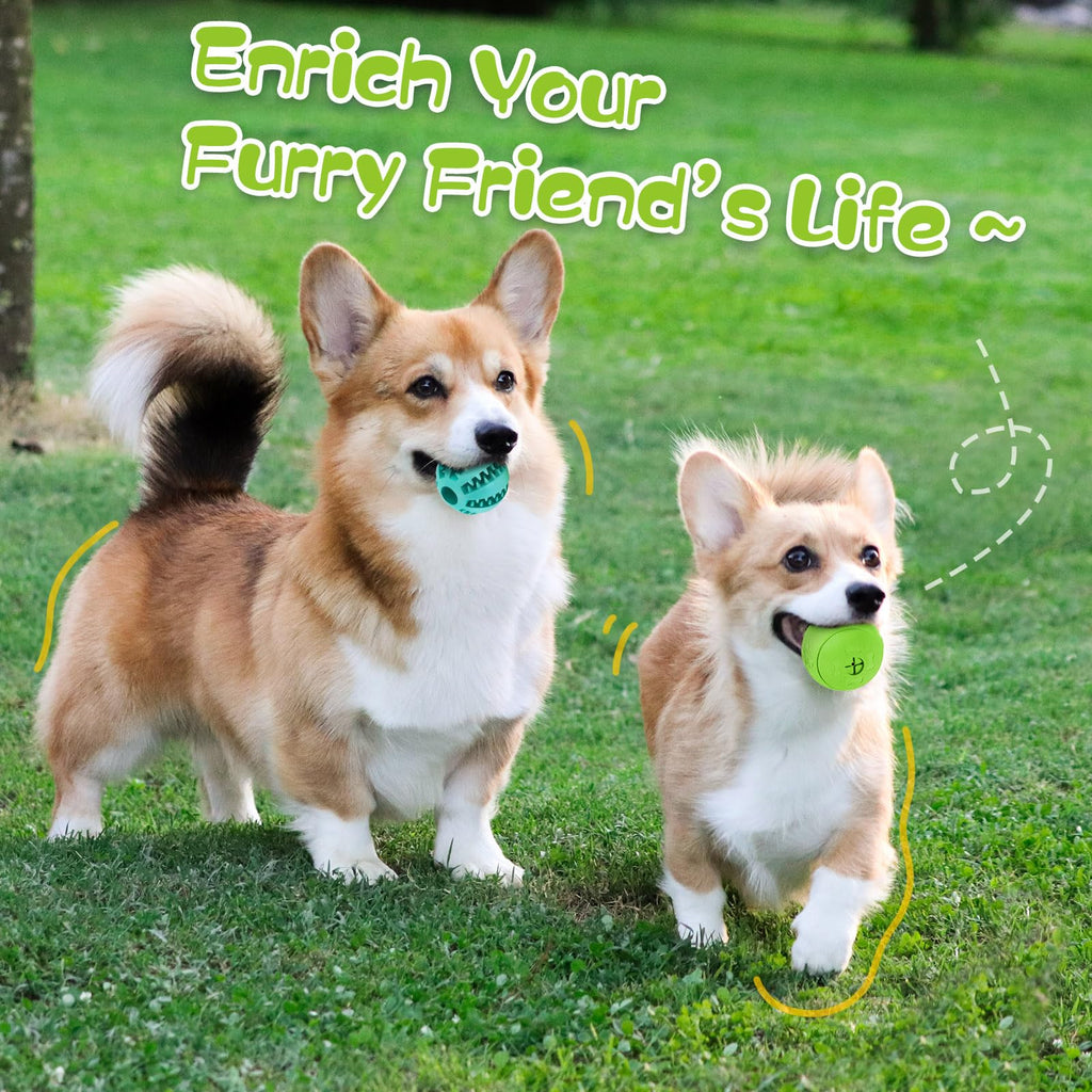 2 Pack Interactive Dog Puzzle Toys B893162