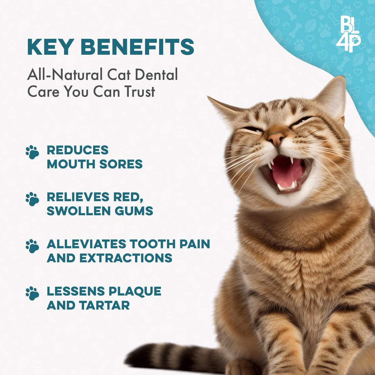Cat Dental Care Supplement 400 Pills L1101
