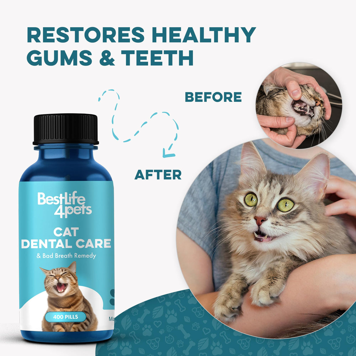 Cat Dental Care Supplement 400 Pills L1101