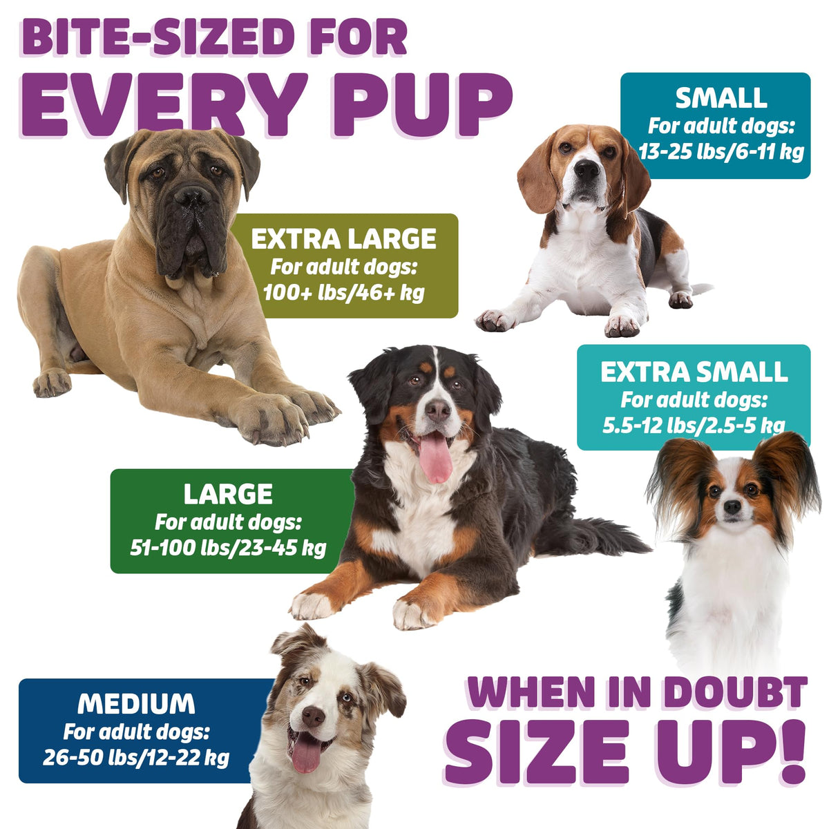 Chicken Dog Dental Treats 24oz & 36 oz V123
