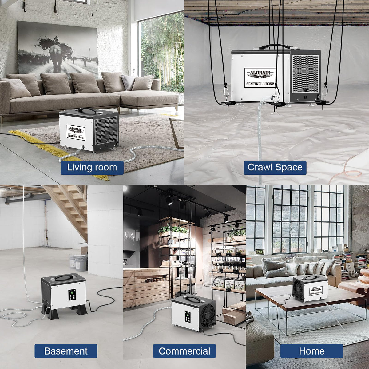 70 PPD Dehumidifier with Pump C1615