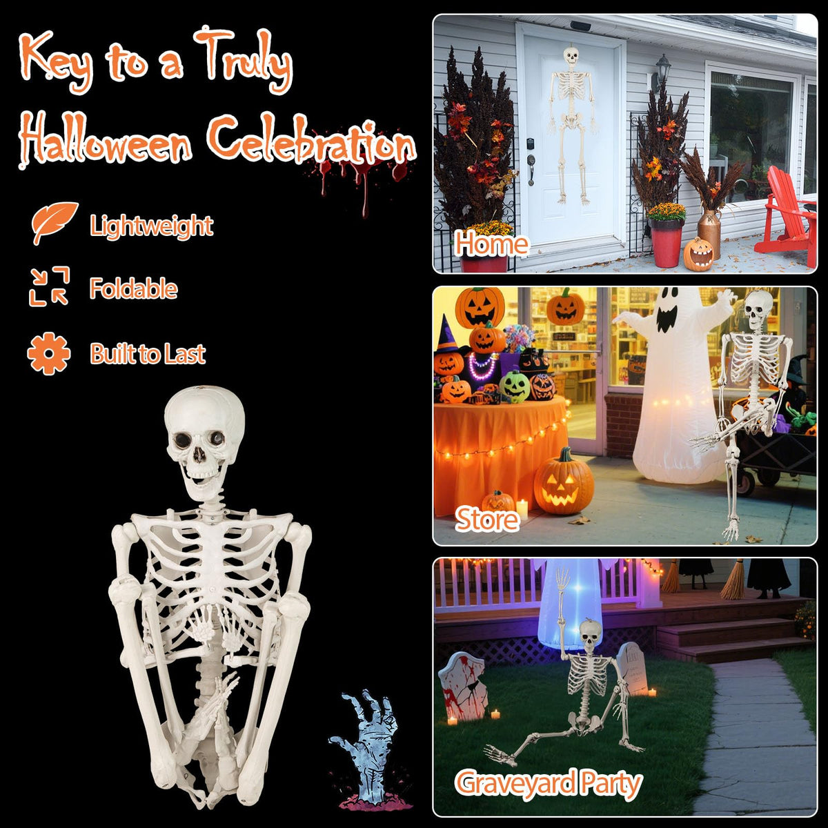 Life Size Posable Skeleton with Movable Joints K76307