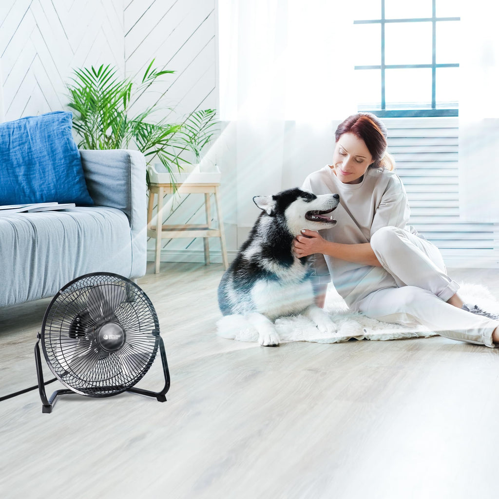 9 Inch Black Metal Floor Fan D584