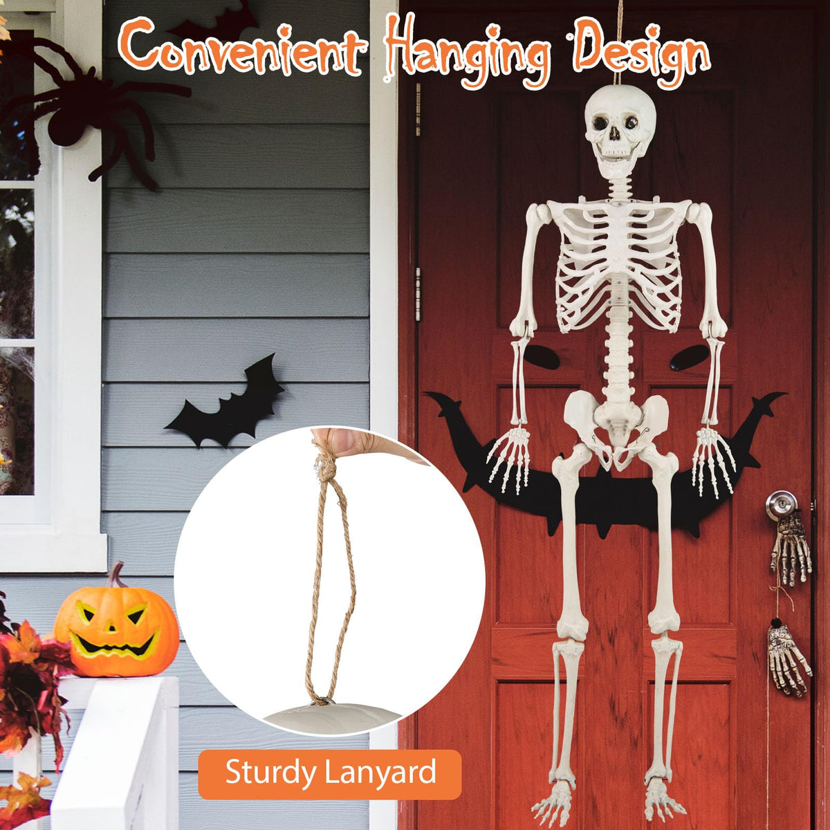 Life Size Posable Skeleton with Movable Joints K76307