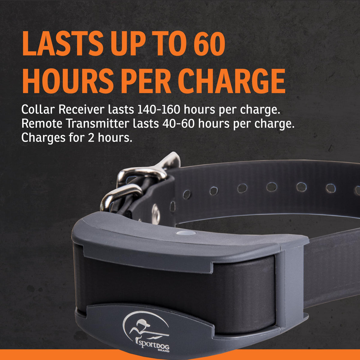 Remote Dog Trainer 1-Mile Range Q5019