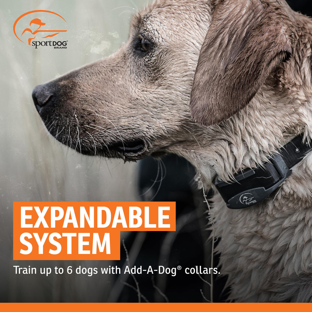 Remote Dog Trainer 1-Mile Range Q5019