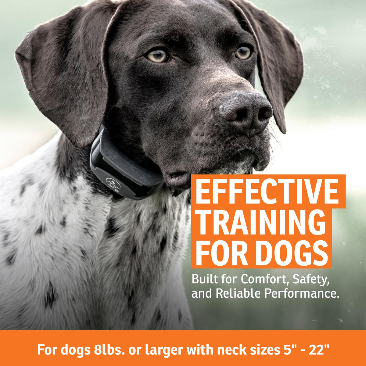 Remote Dog Trainer 1-Mile Range Q5019