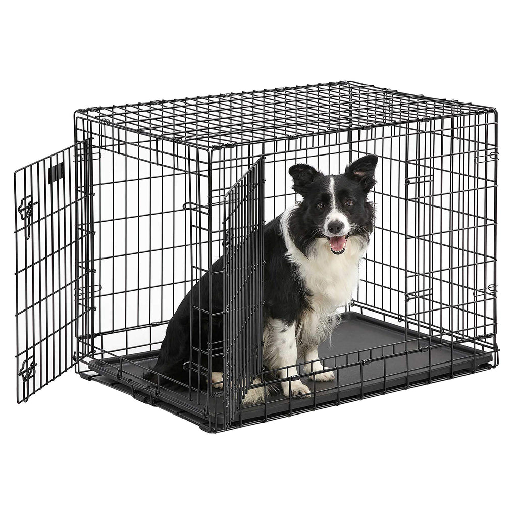 36-Inch Double Door Dog Crate F59443