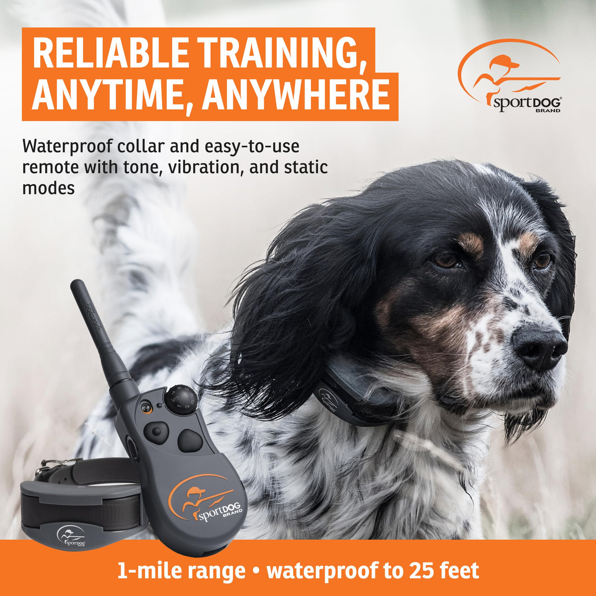 Remote Dog Trainer 1-Mile Range Q5019