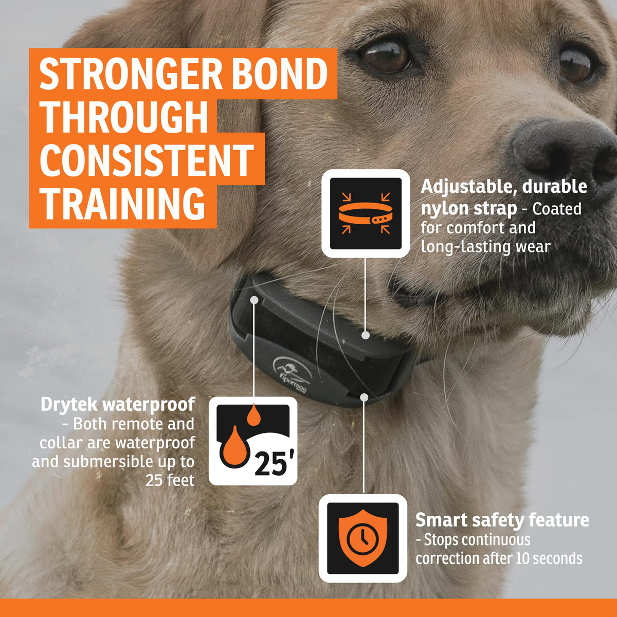 Remote Dog Trainer 1-Mile Range Q5019