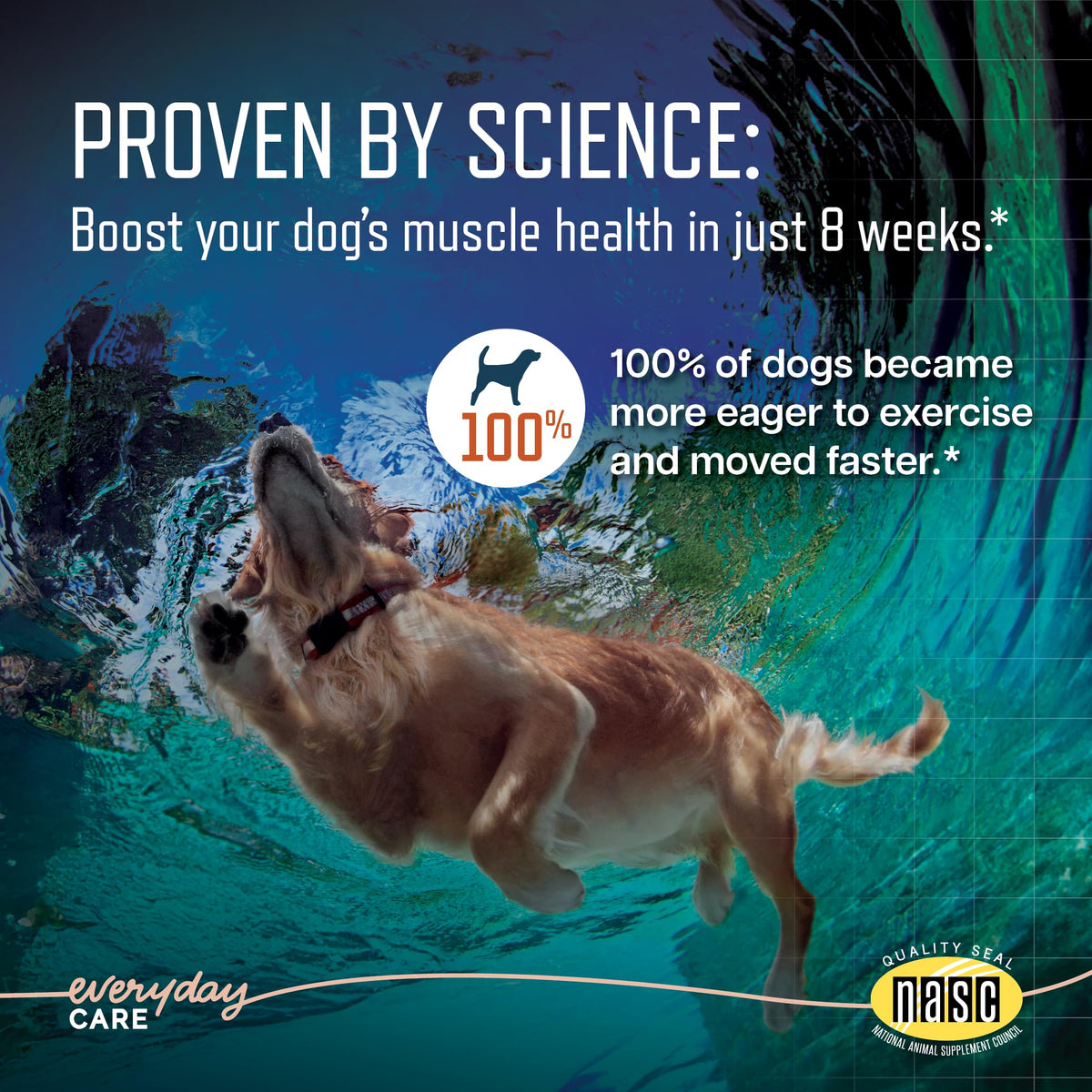Soft Chews for Dogs Large Breed 60 Count L658